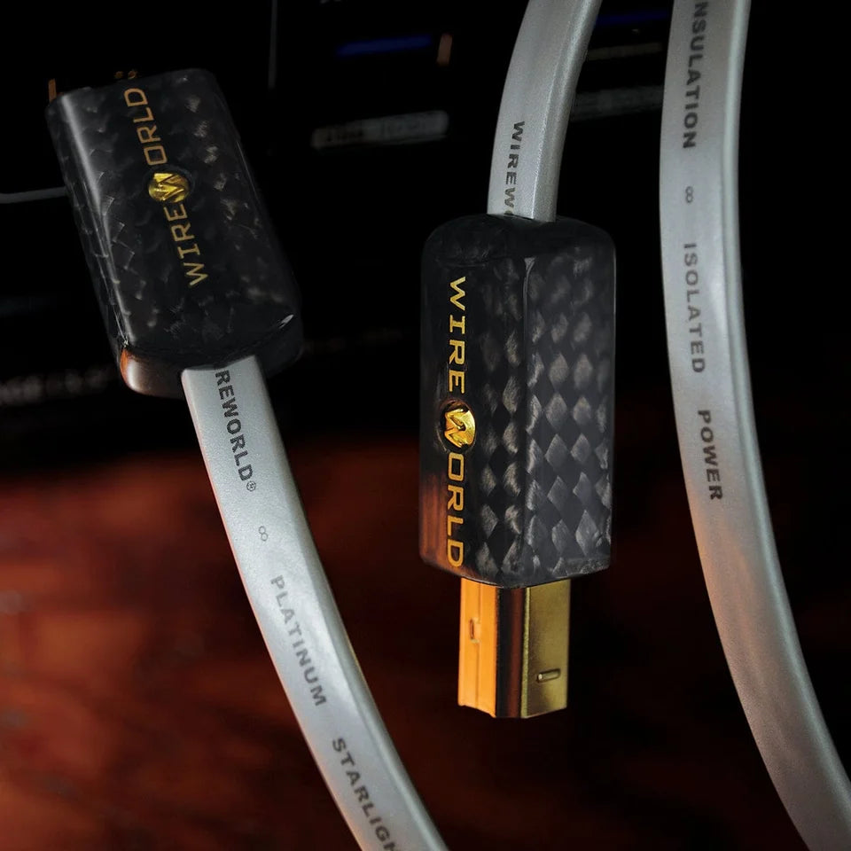 Wireworld Platinum Starlight 8 USB Audio Cable