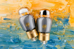 Ray Tubes Reserve 6SN7
