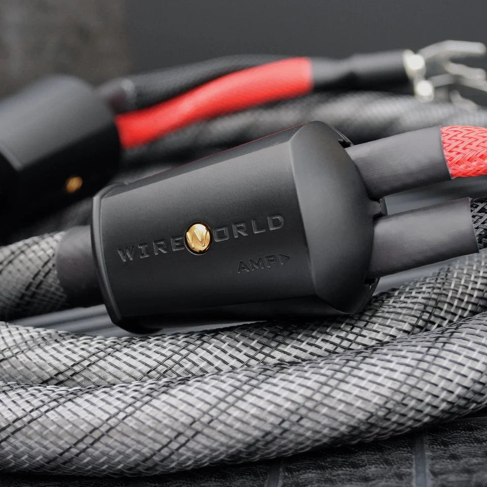 Wireworld Silver Eclipse 10 Speaker Cable