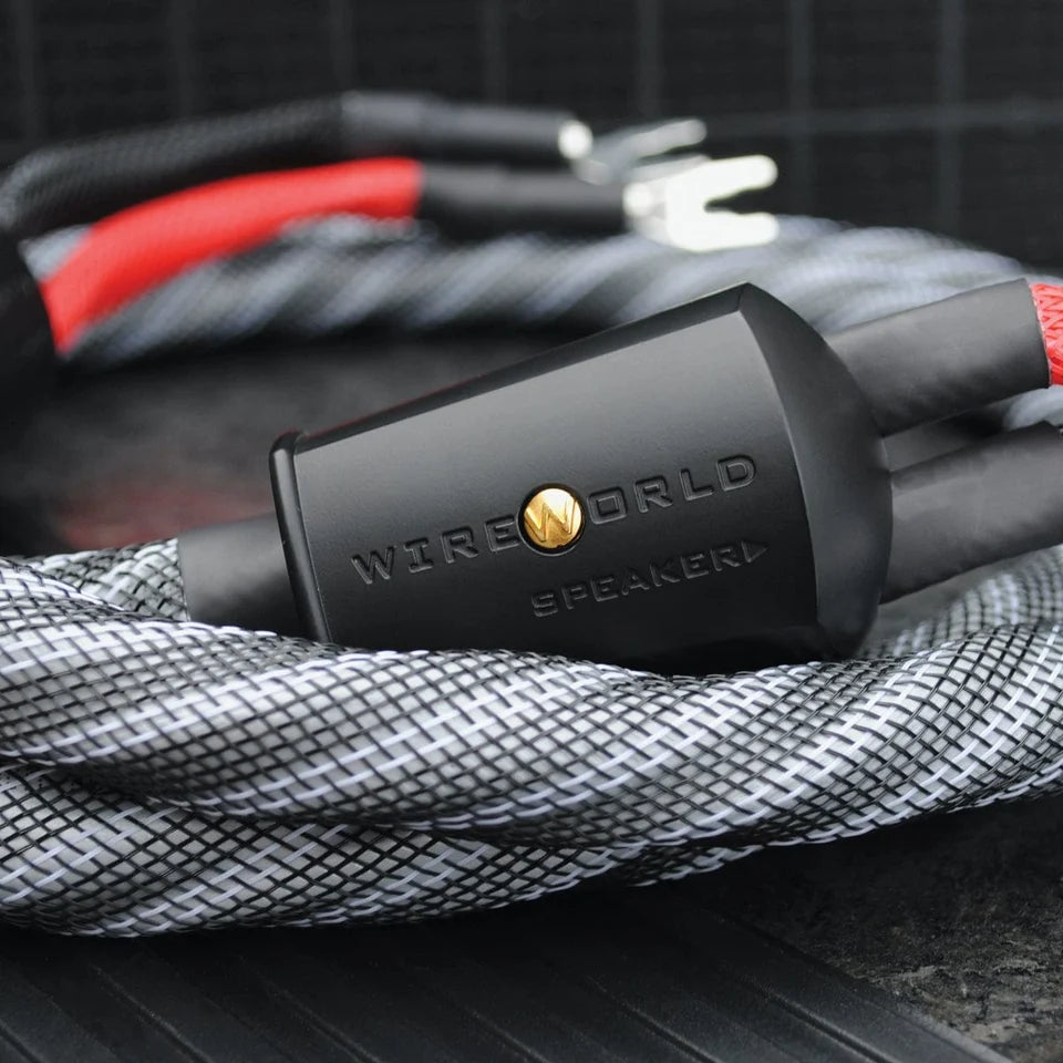 Wireworld Platinum Eclipse 10 Speaker Cable