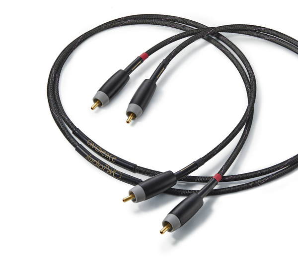Audience Studio Two RCA Interconnects