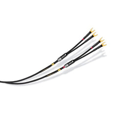 Audience frontRow Speaker Cables